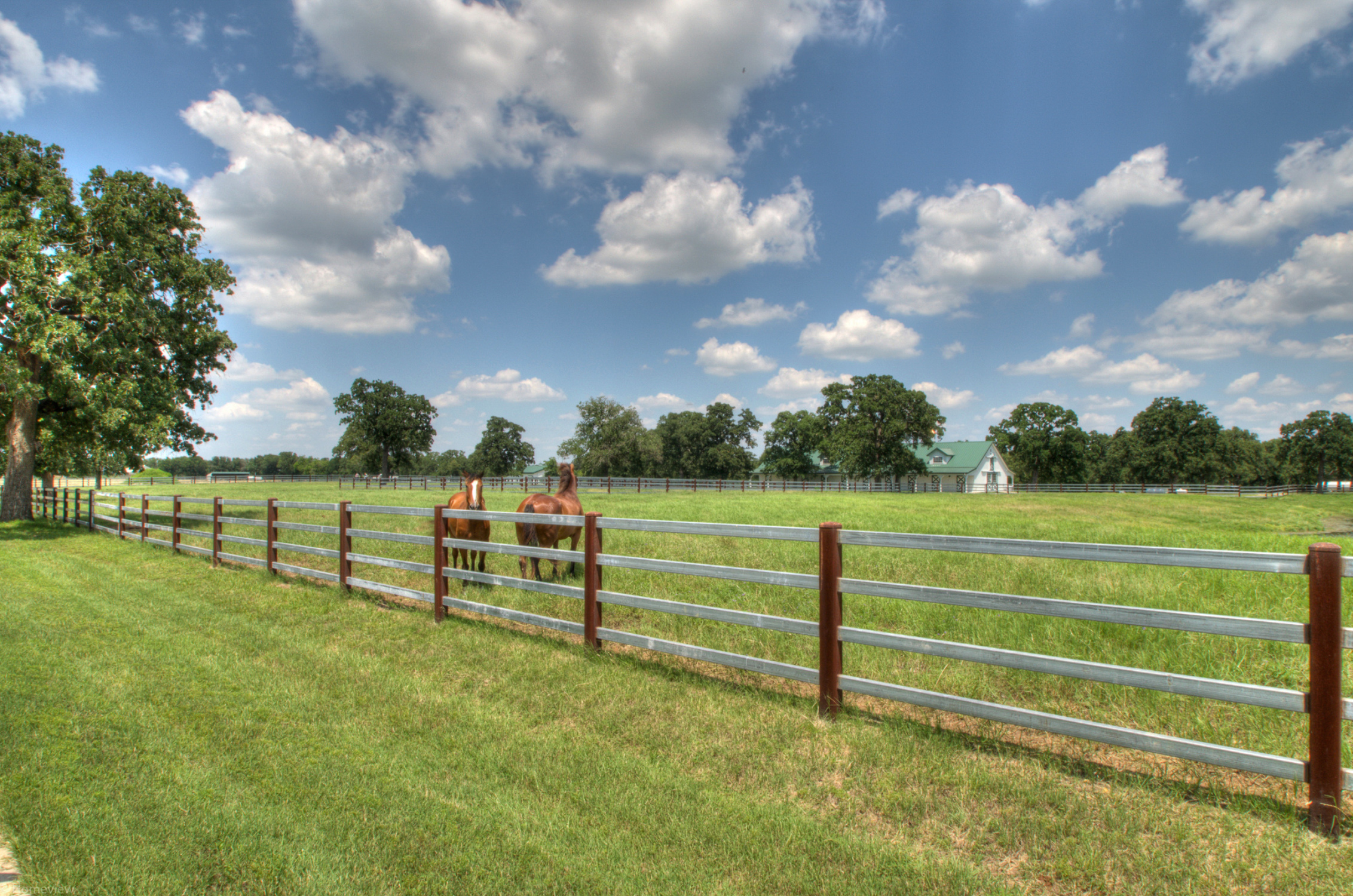 1,252 Acres Wire Tree Ranch | Hill Country Ranch for Sale | Dullnig Ranches