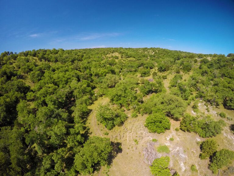 1,100 Acres Coyote Spring Ranch | Hill Country Ranch for Sale | Dullnig ...