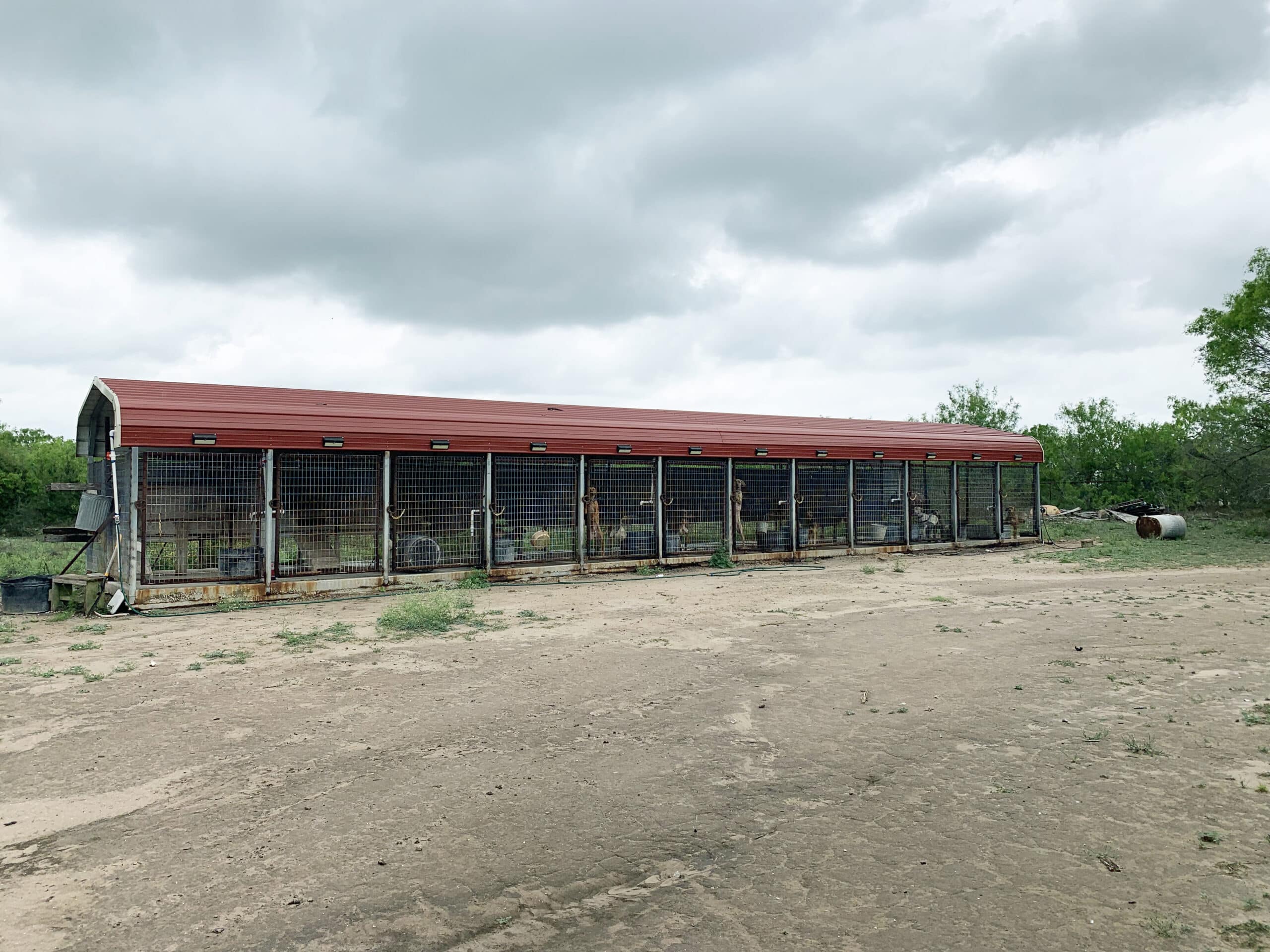 81 Acres West Ranch Dullnig Ranches