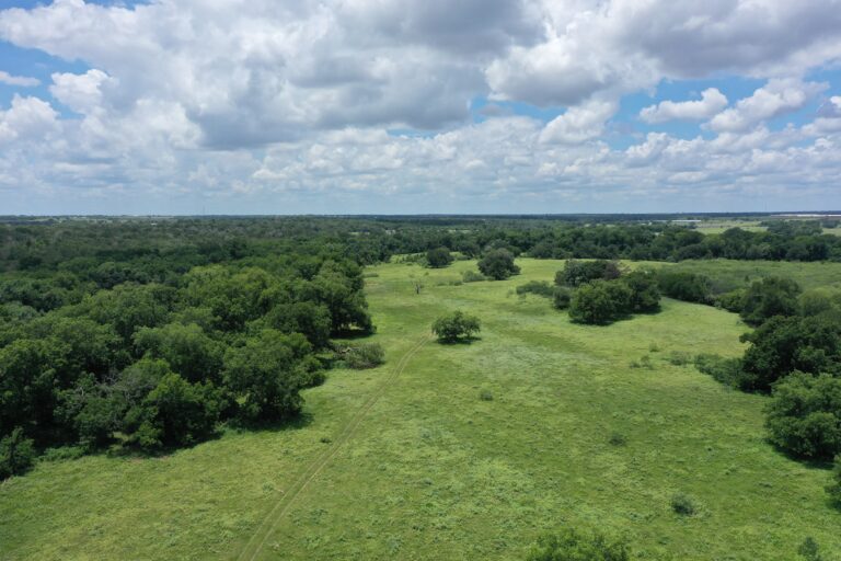 227 Acres Buck Branch Ranch | Hill Country Ranch for Sale | Dullnig Ranches