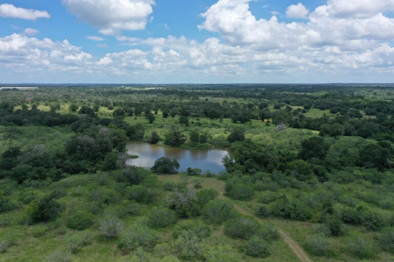 227 Acres Buck Branch Ranch | Hill Country Ranch for Sale | Dullnig Ranches
