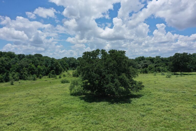 227 Acres Buck Branch Ranch | Hill Country Ranch for Sale | Dullnig Ranches