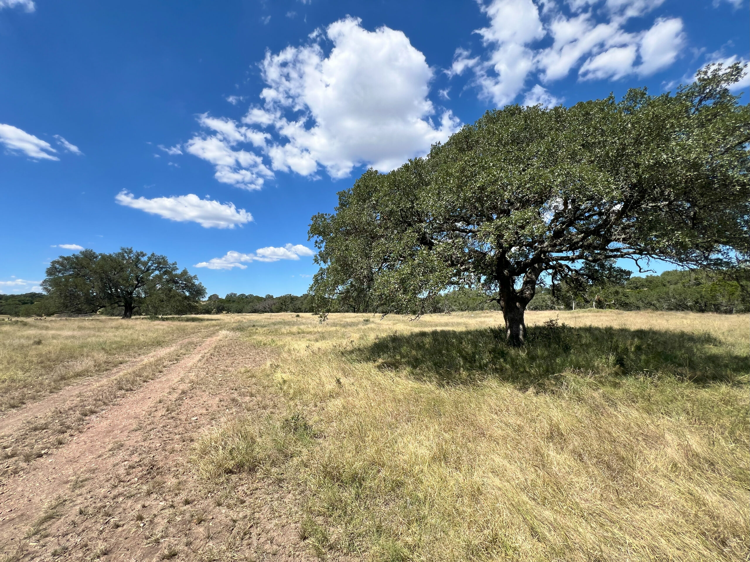 543 Acres North Ravines Ranch | Hill Country Ranch for Sale | Dullnig ...