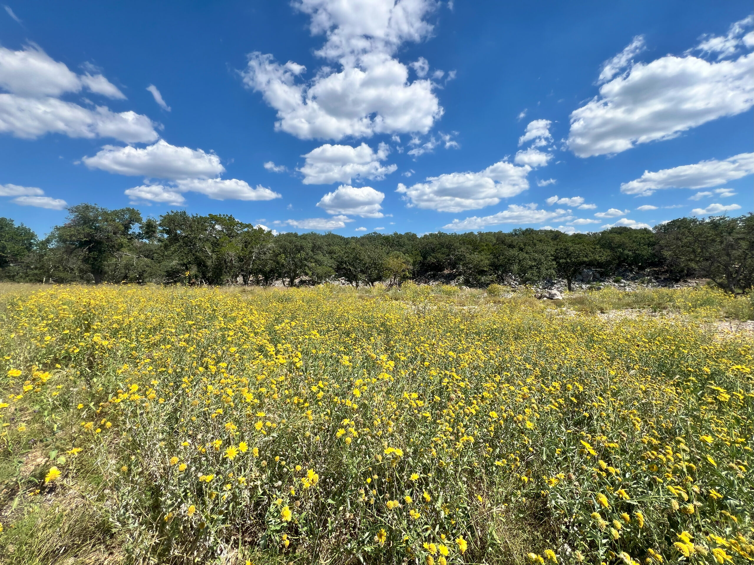 North Delta Ravines 543 Acres North Ravines Ranch | Hill Country Ranch for Sale | Dullnig ...
