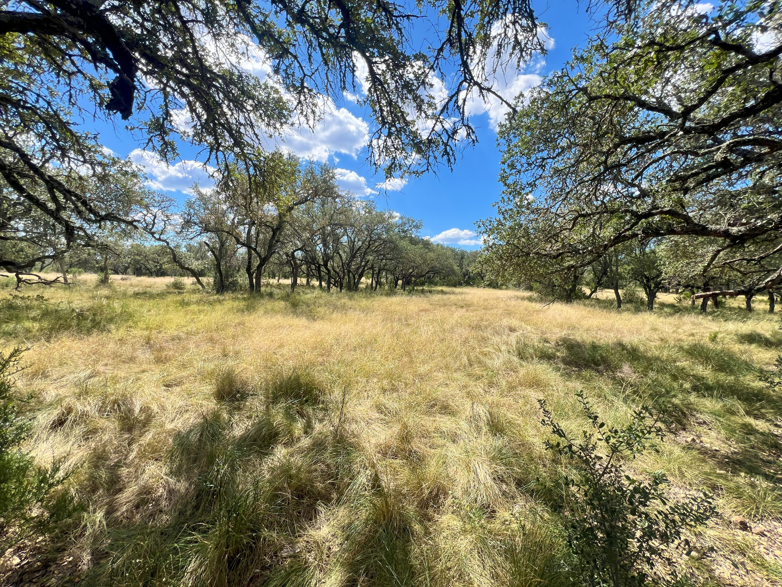 543 Acres North Ravines Ranch | Hill Country Ranch for Sale | Dullnig ...
