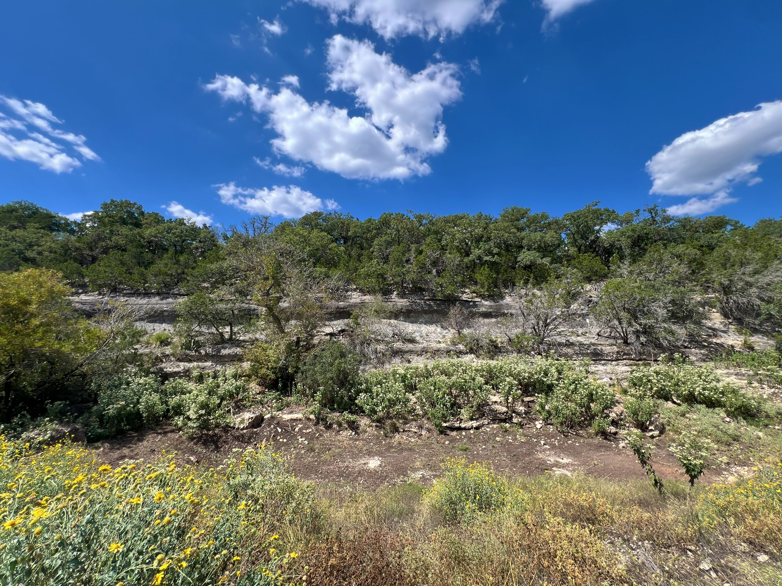 North Delta Ravines 543 Acres North Ravines Ranch | Hill Country Ranch for Sale | Dullnig ...