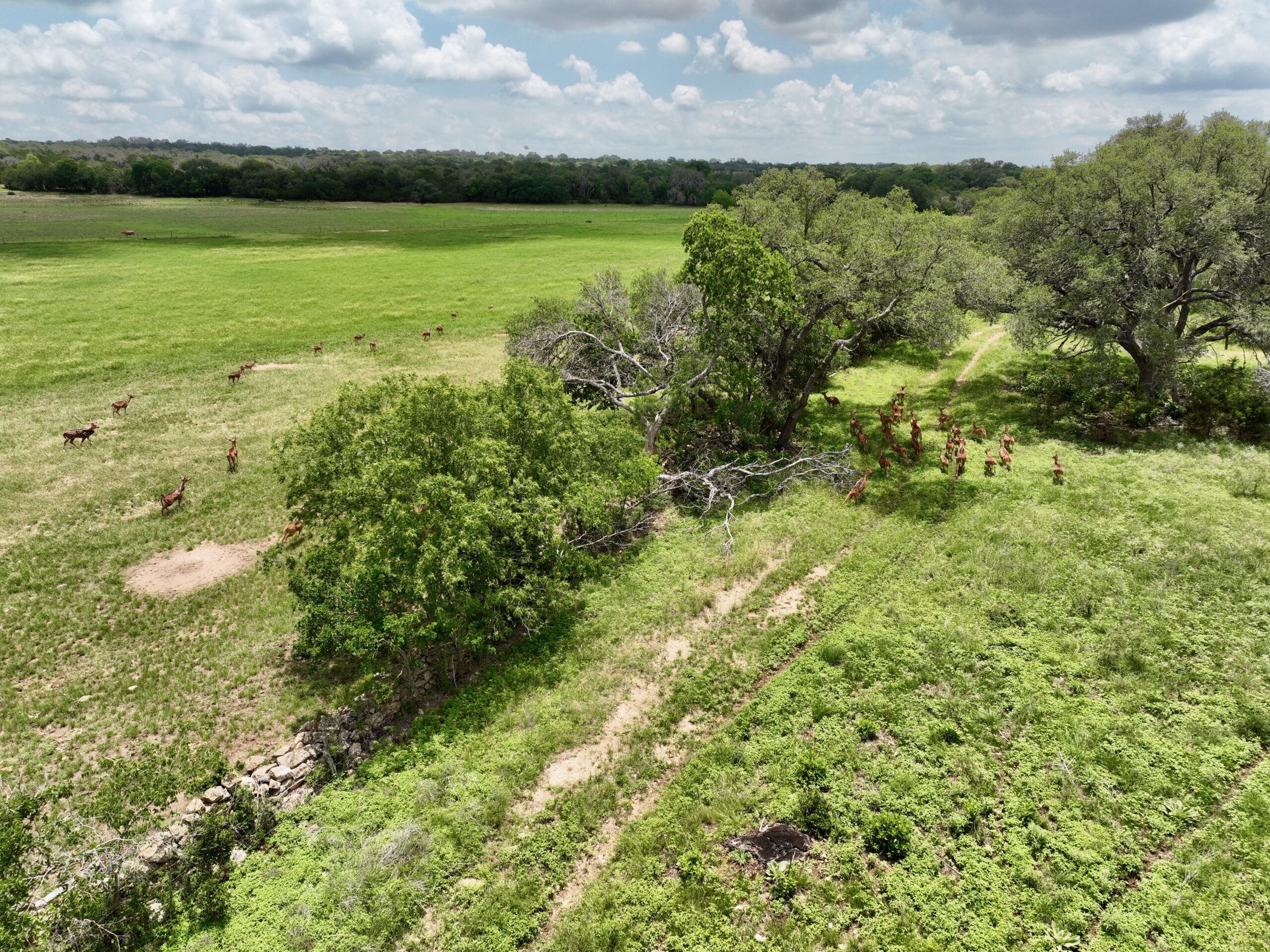886 Acres 3 Creeks Ranch | Hill Country Ranch for Sale | Dullnig Ranches