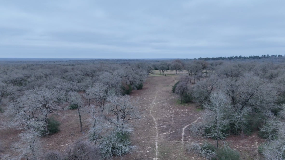 31 Acres Rustling Oaks Ranch | Hill Country Ranch for Sale | Dullnig ...