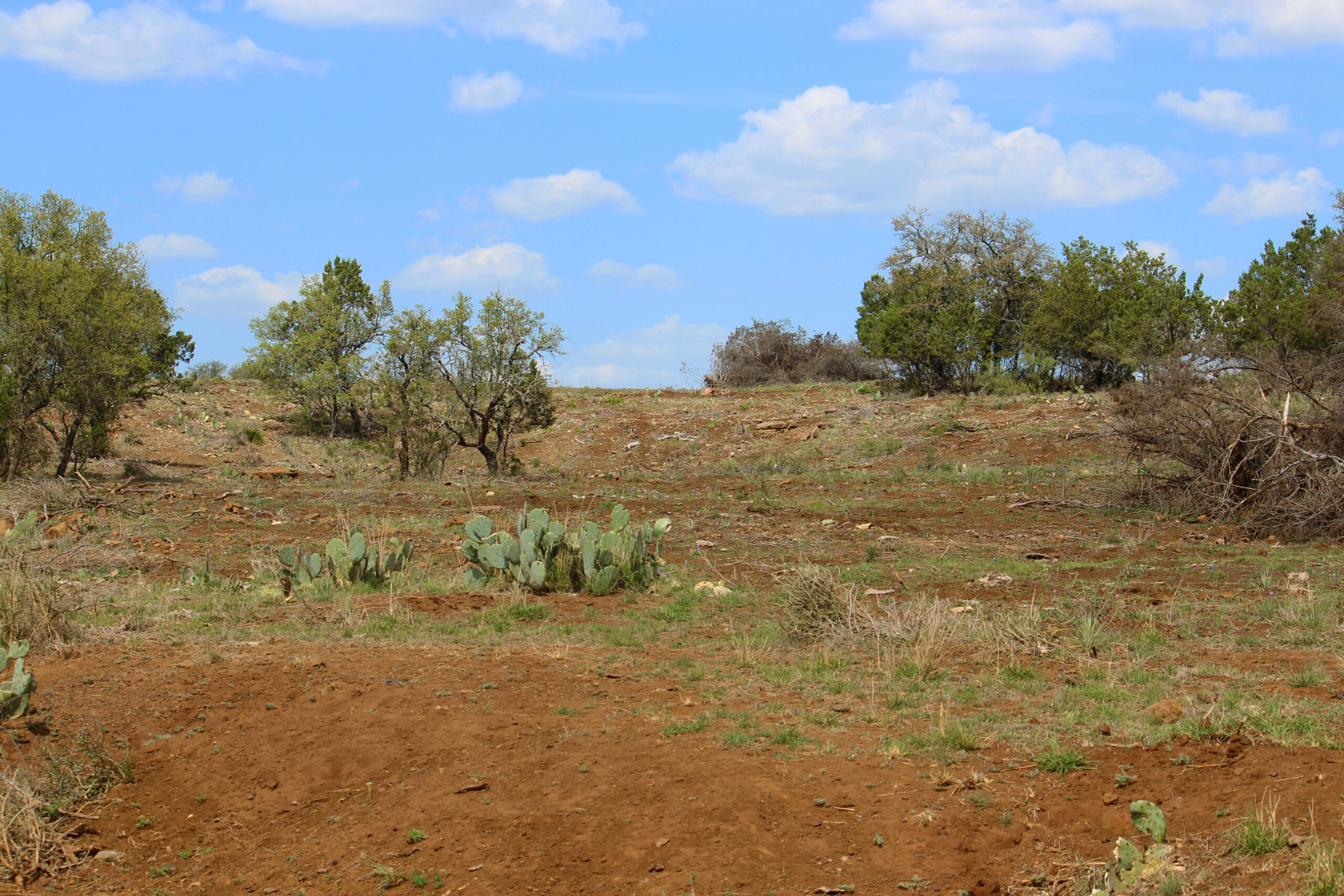 Country Rach 1,290 Acres: 1897 James River Ranch | Hill Country Ranch for Sale ...