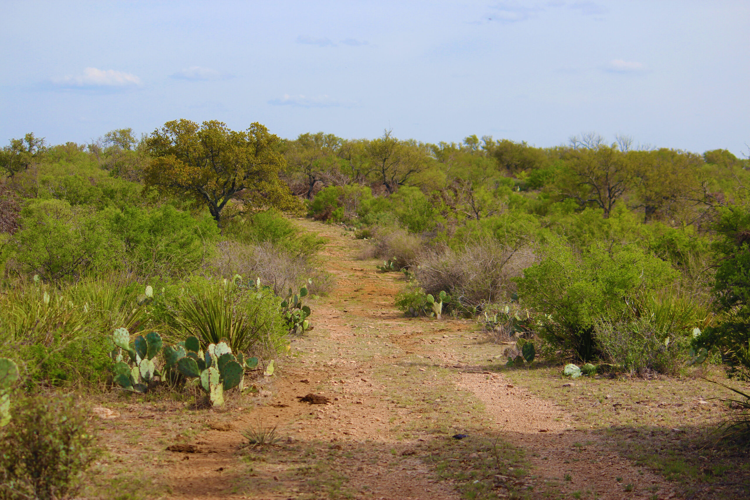 Country Rach 1,290 Acres: 1897 James River Ranch | Hill Country Ranch for Sale ...