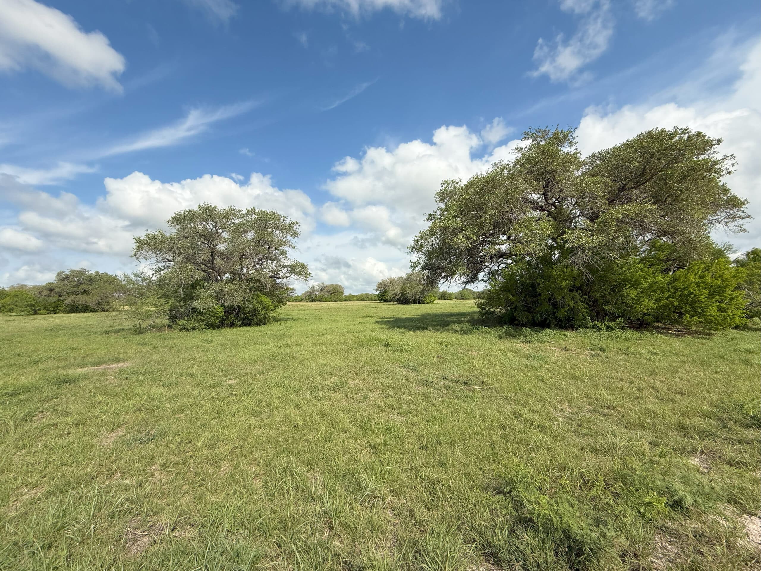 2,445 Acres Double Diamond Ranch | Coastal Prairie Ranch for Sale ...