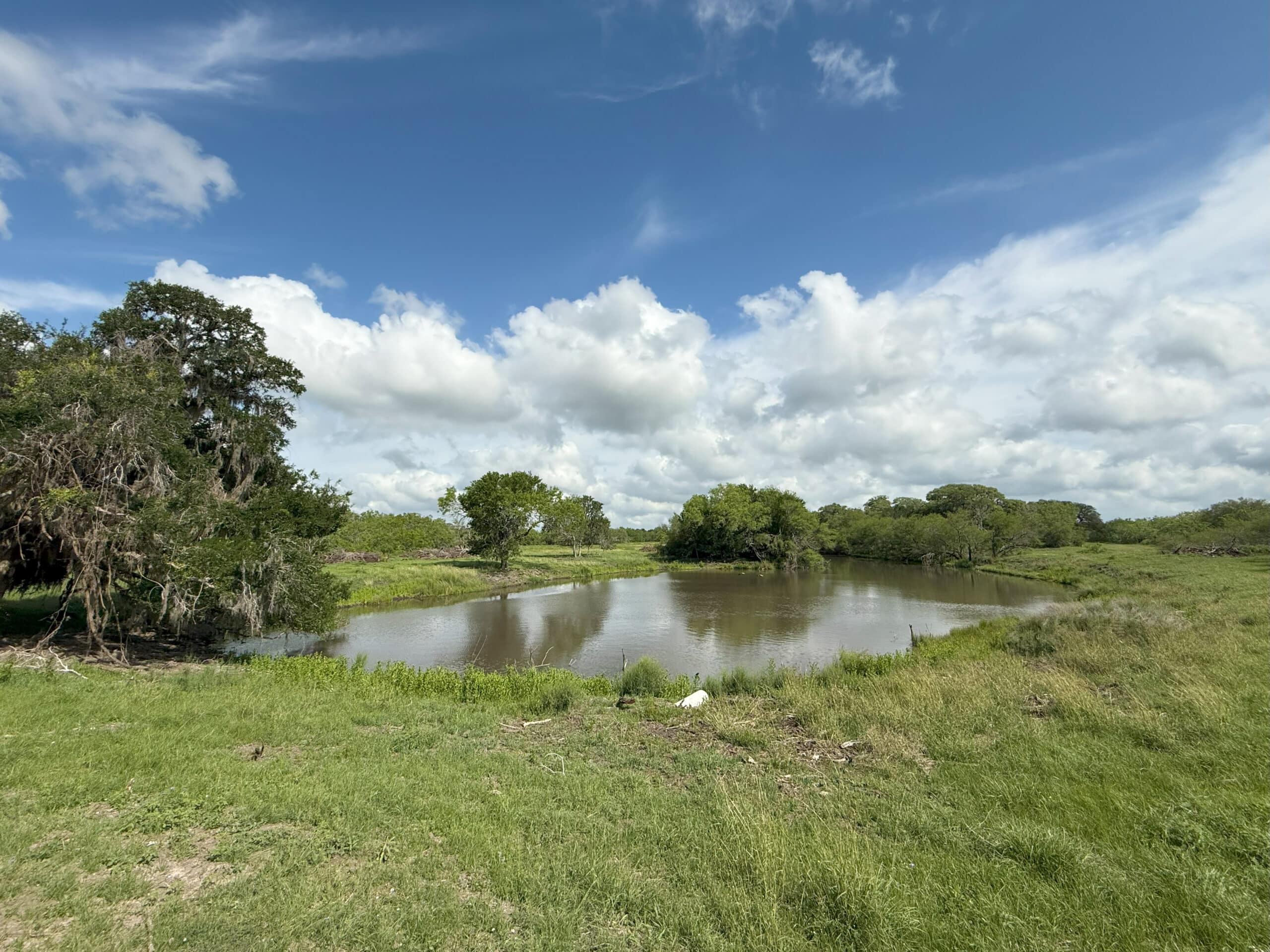 2,445 Acres Double Diamond Ranch | Coastal Prairie Ranch for Sale ...