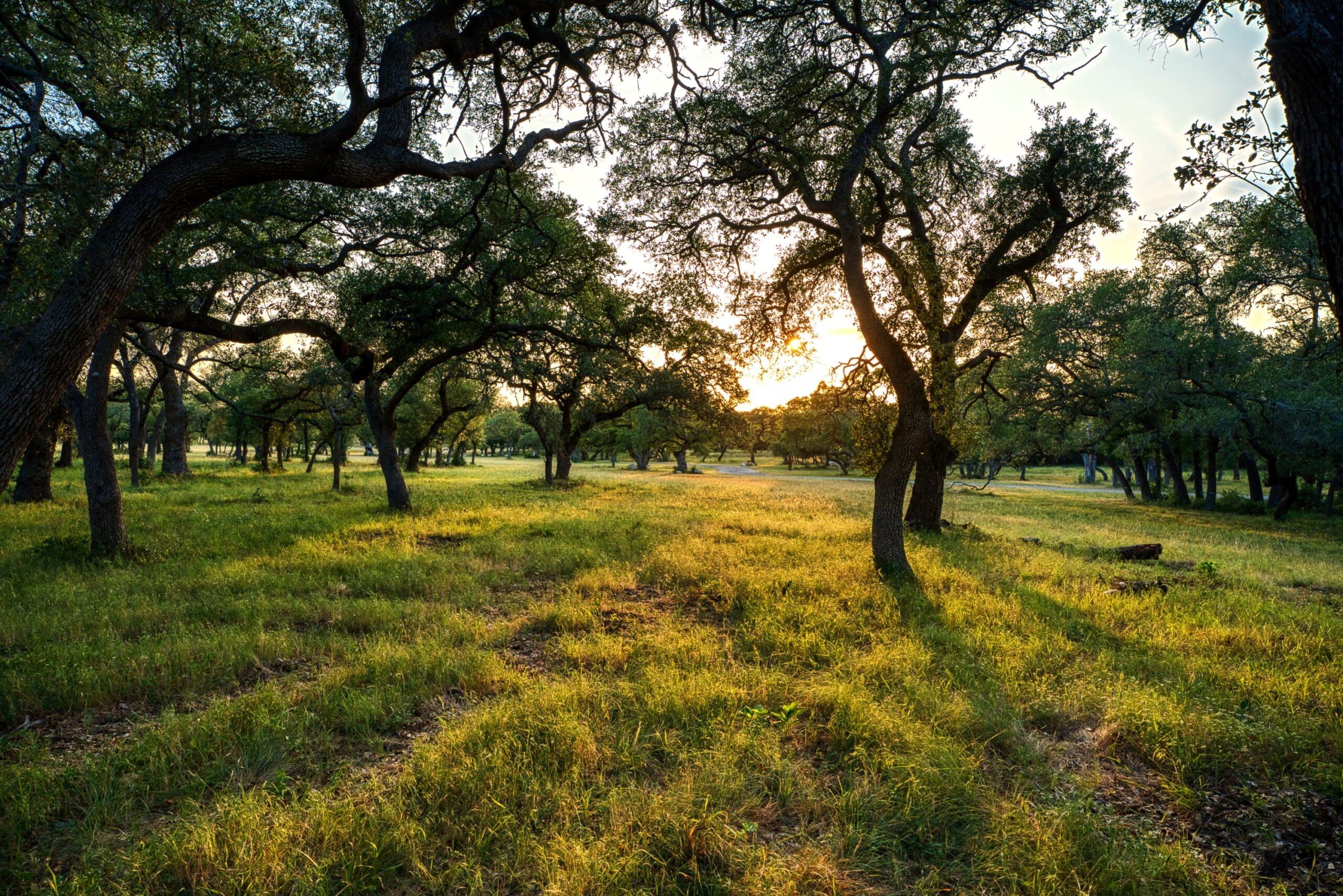 88 Acres Cave Creek Ranch | Hill Country Ranch for Sale | Dullnig Ranches