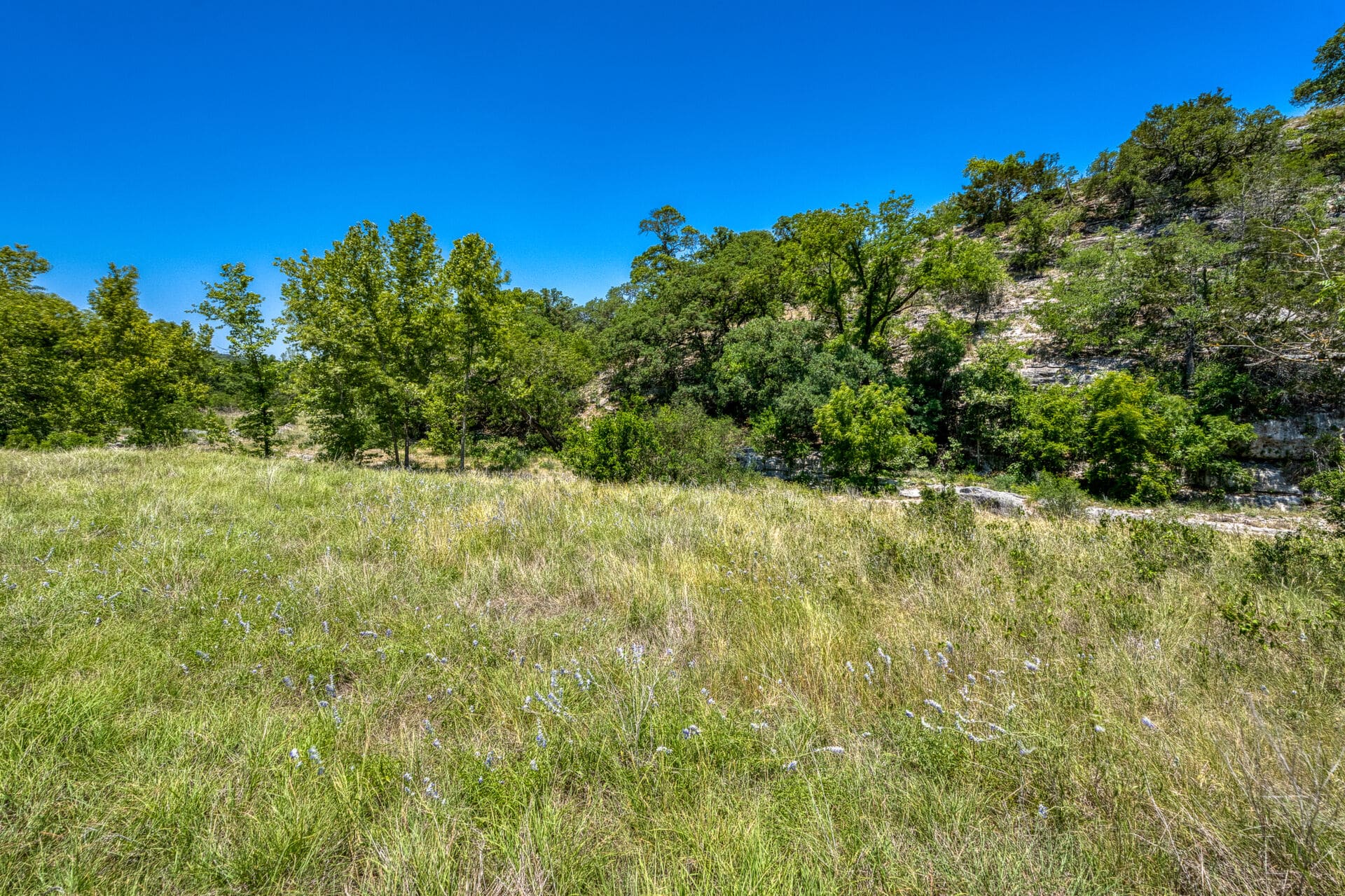 Country Rach 590 Acres South Fork Ranch | Hill Country Ranch for Sale | Dullnig Ranches