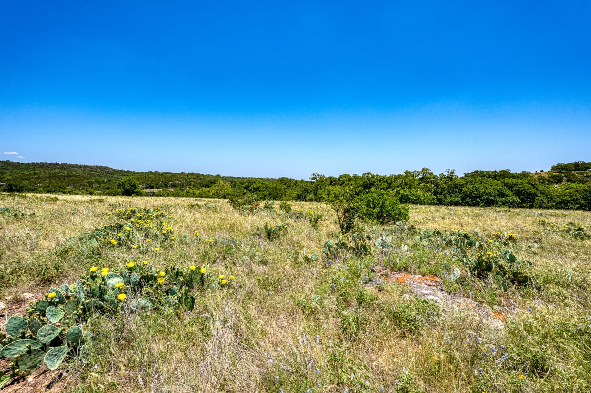 Country Rach 590 Acres South Fork Ranch | Hill Country Ranch for Sale | Dullnig Ranches