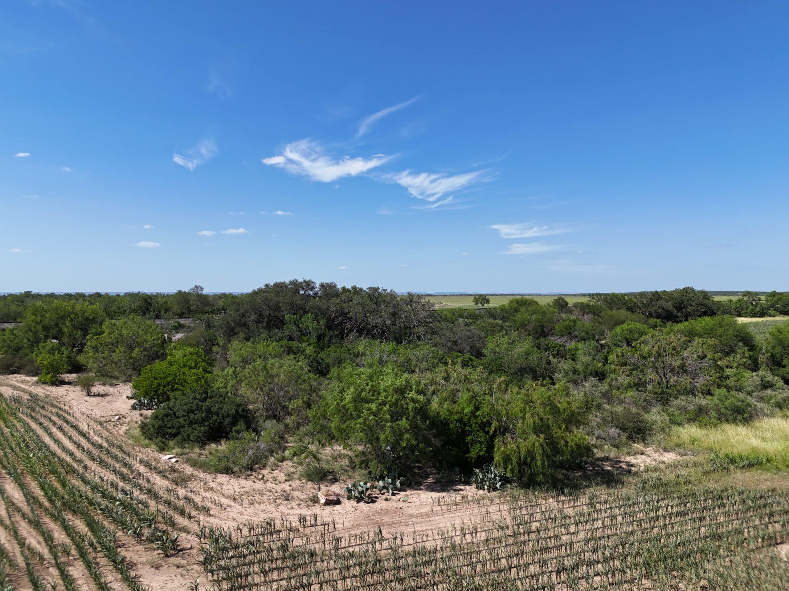 254 Acres Viking Farm | Hill Country Ranch for Sale | Dullnig Ranches