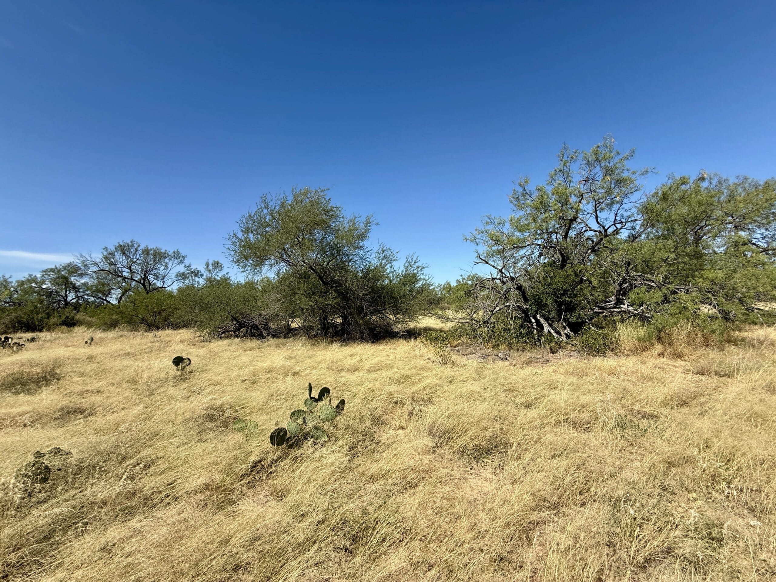 2,175 Acres Buck Creek Ranch | Dullnig Ranches