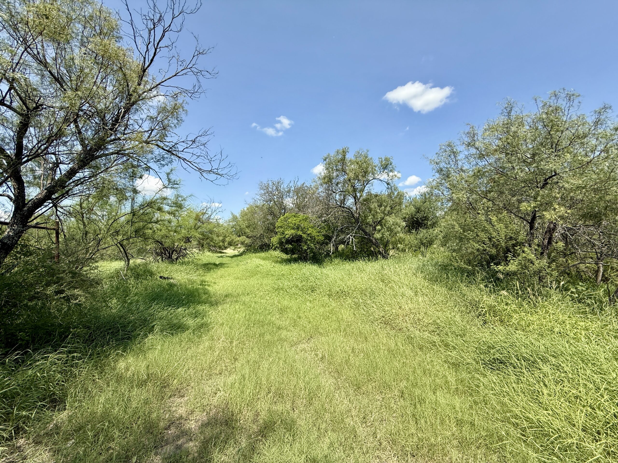 5,997 Acres South Chilipitin Ranch | South Texas Ranch for Sale ...