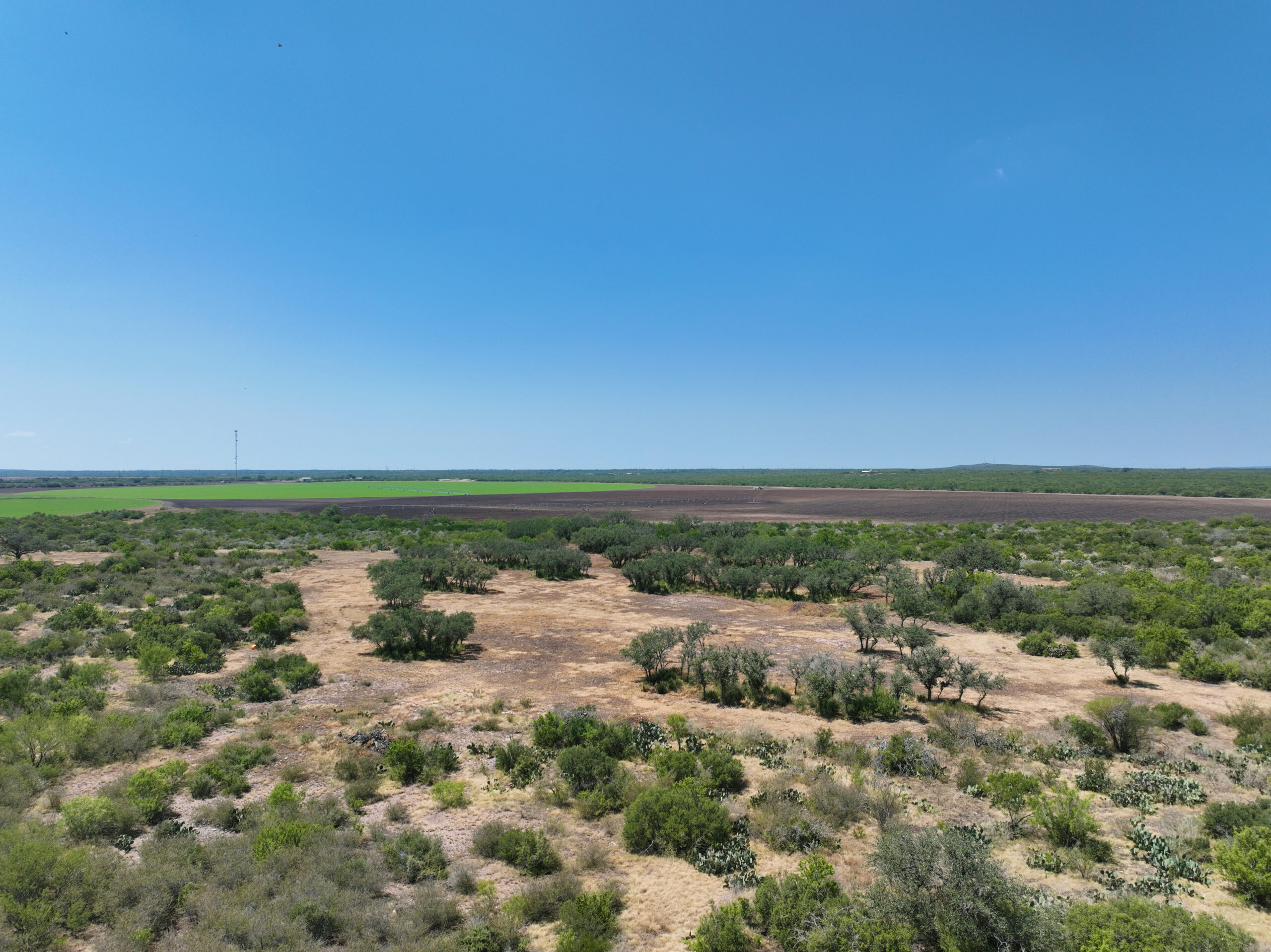 709 Acres Blue Mountain Farm | Hill Country Ranch for Sale | Dullnig ...