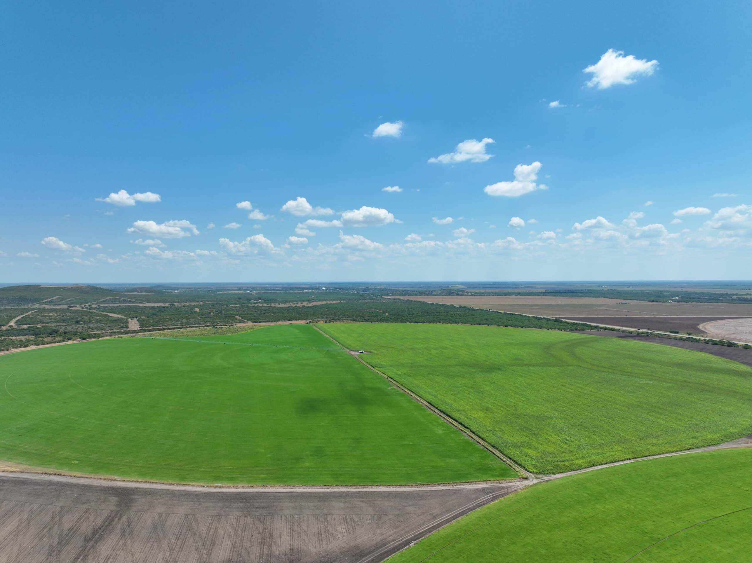 709 Acres Blue Mountain Farm | Hill Country Ranch for Sale | Dullnig ...