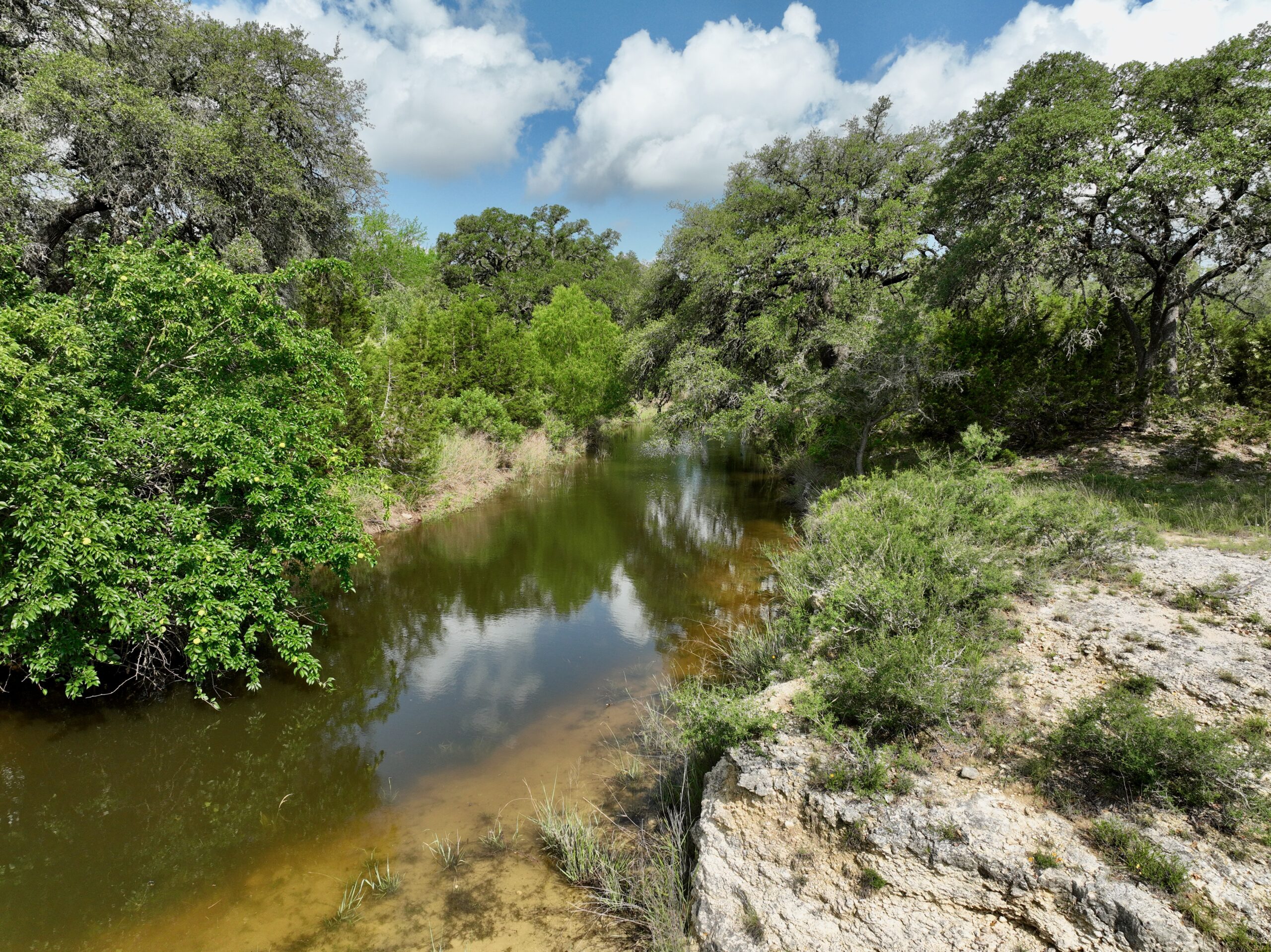386 Acres Last Buck Ranch | Hill Country Ranch for Sale | Dullnig Ranches