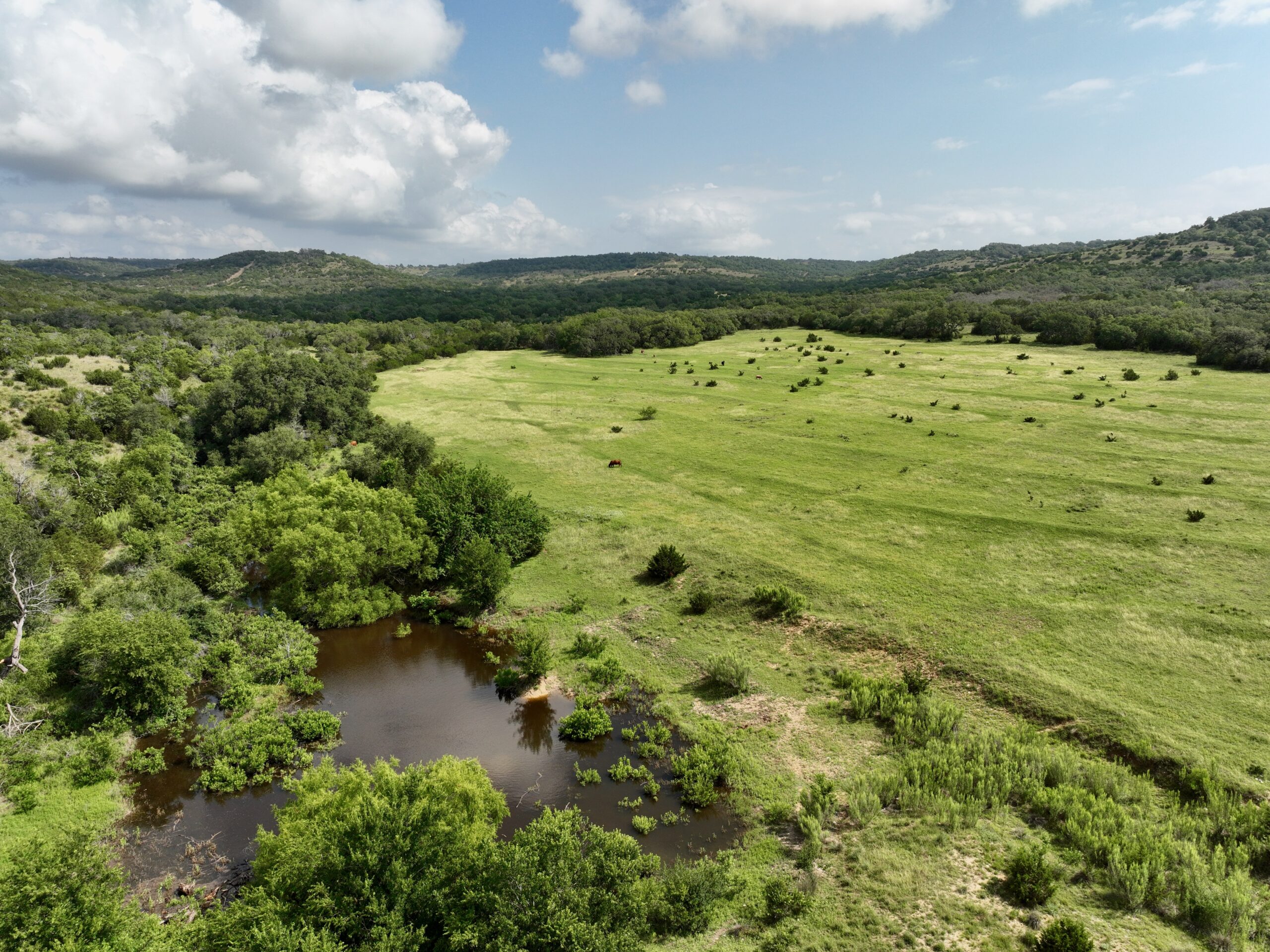 386 Acres Last Buck Ranch | Hill Country Ranch for Sale | Dullnig Ranches