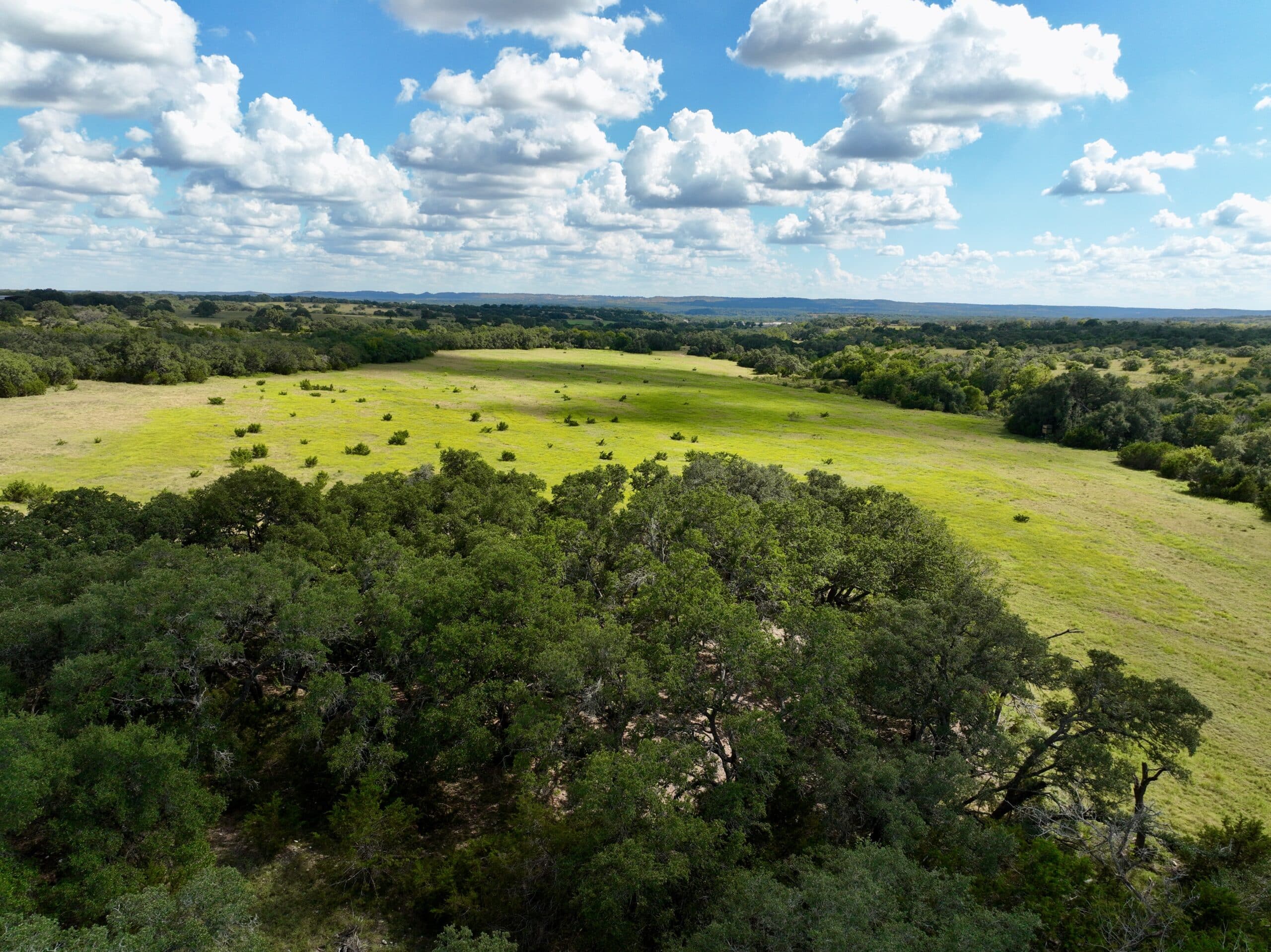 386 Acres Last Buck Ranch | Hill Country Ranch for Sale | Dullnig Ranches