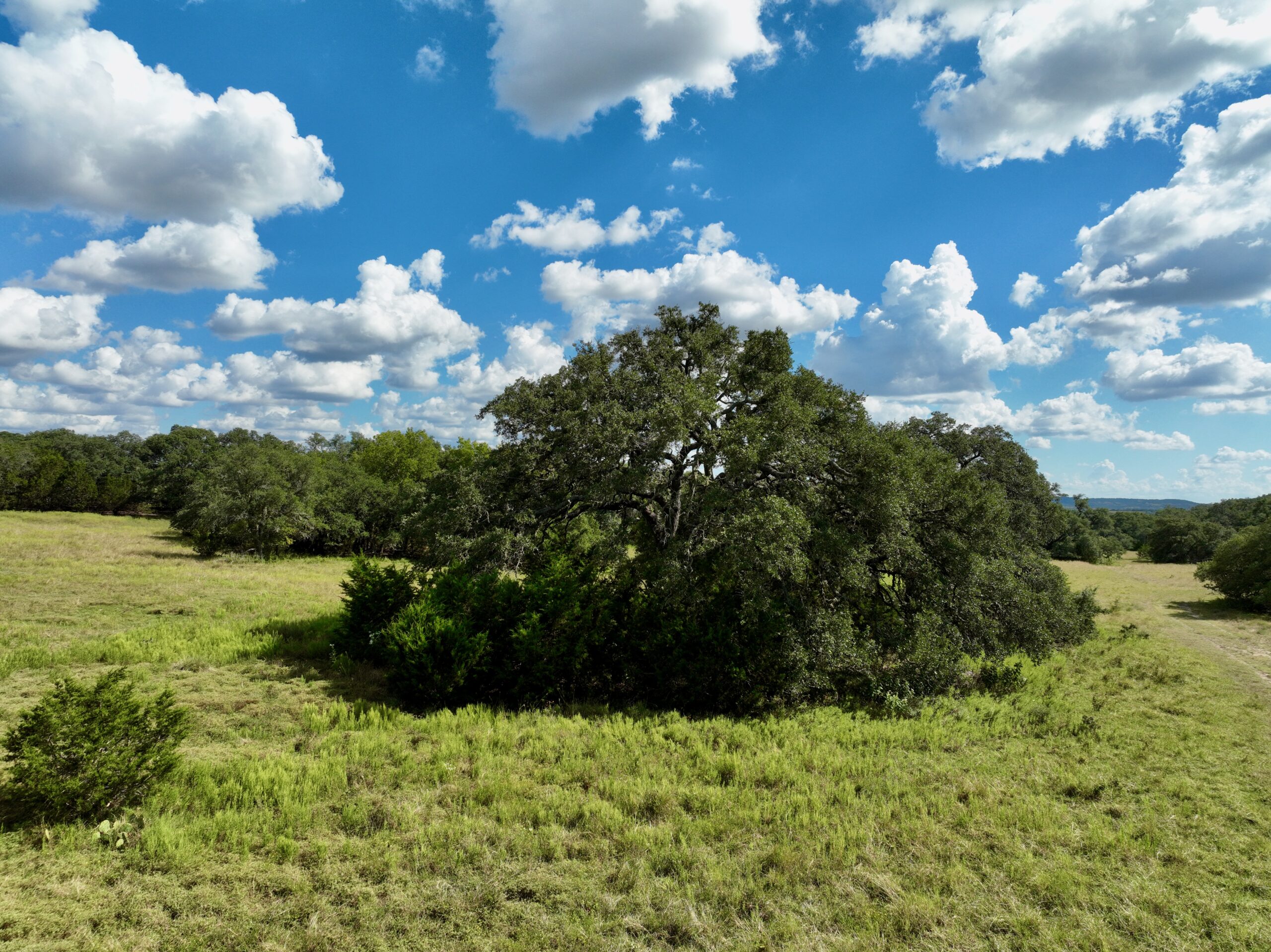 386 Acres Last Buck Ranch | Hill Country Ranch for Sale | Dullnig Ranches