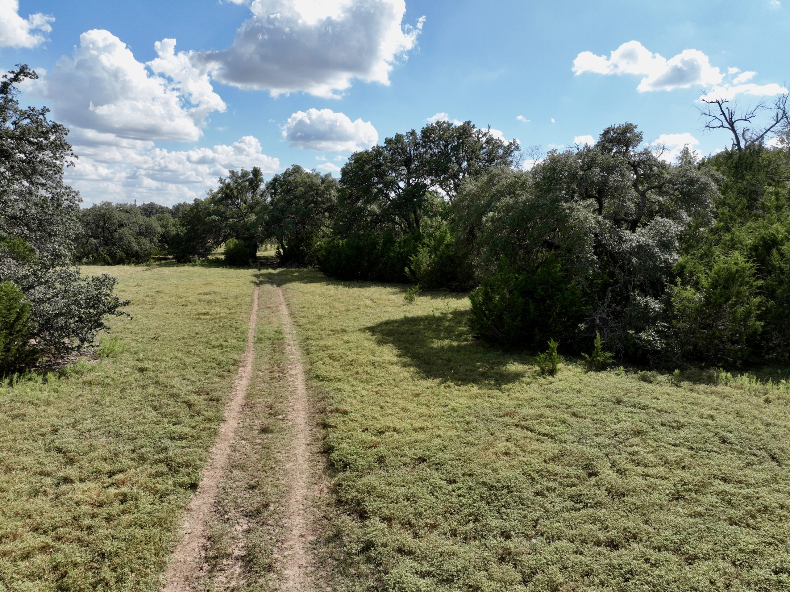 386 Acres Last Buck Ranch | Hill Country Ranch for Sale | Dullnig Ranches