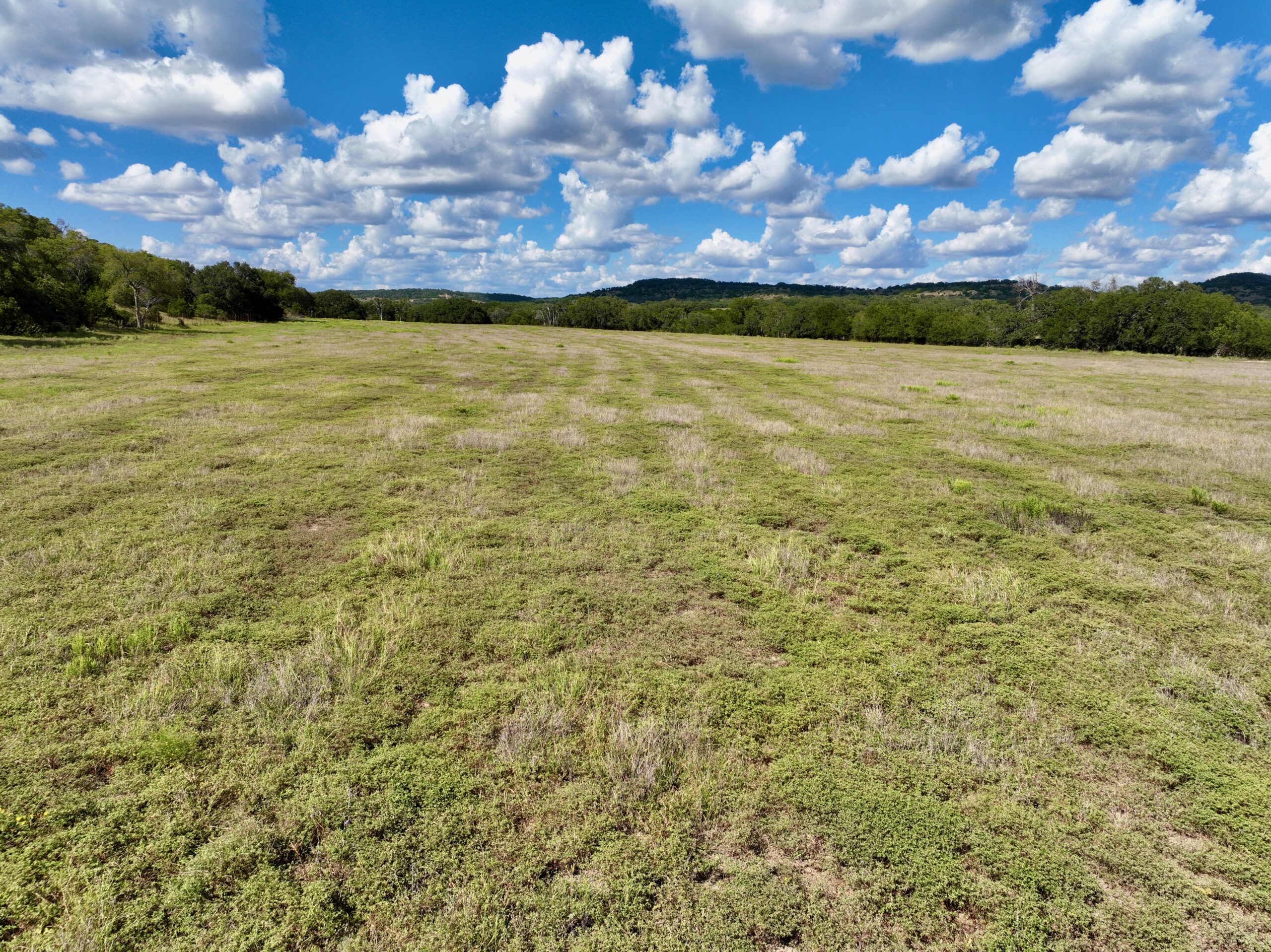 386 Acres Last Buck Ranch | Hill Country Ranch for Sale | Dullnig Ranches