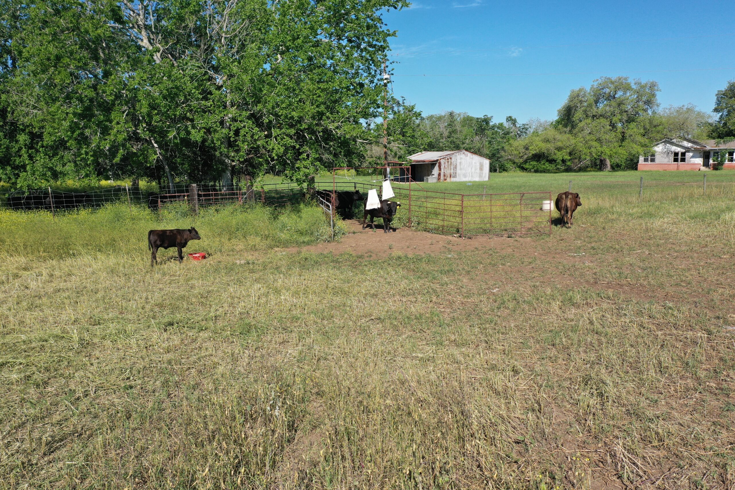 Treetop Ranch 179 Acres Tree Top River Ranch | Hill Country Ranch for Sale | Dullnig ...