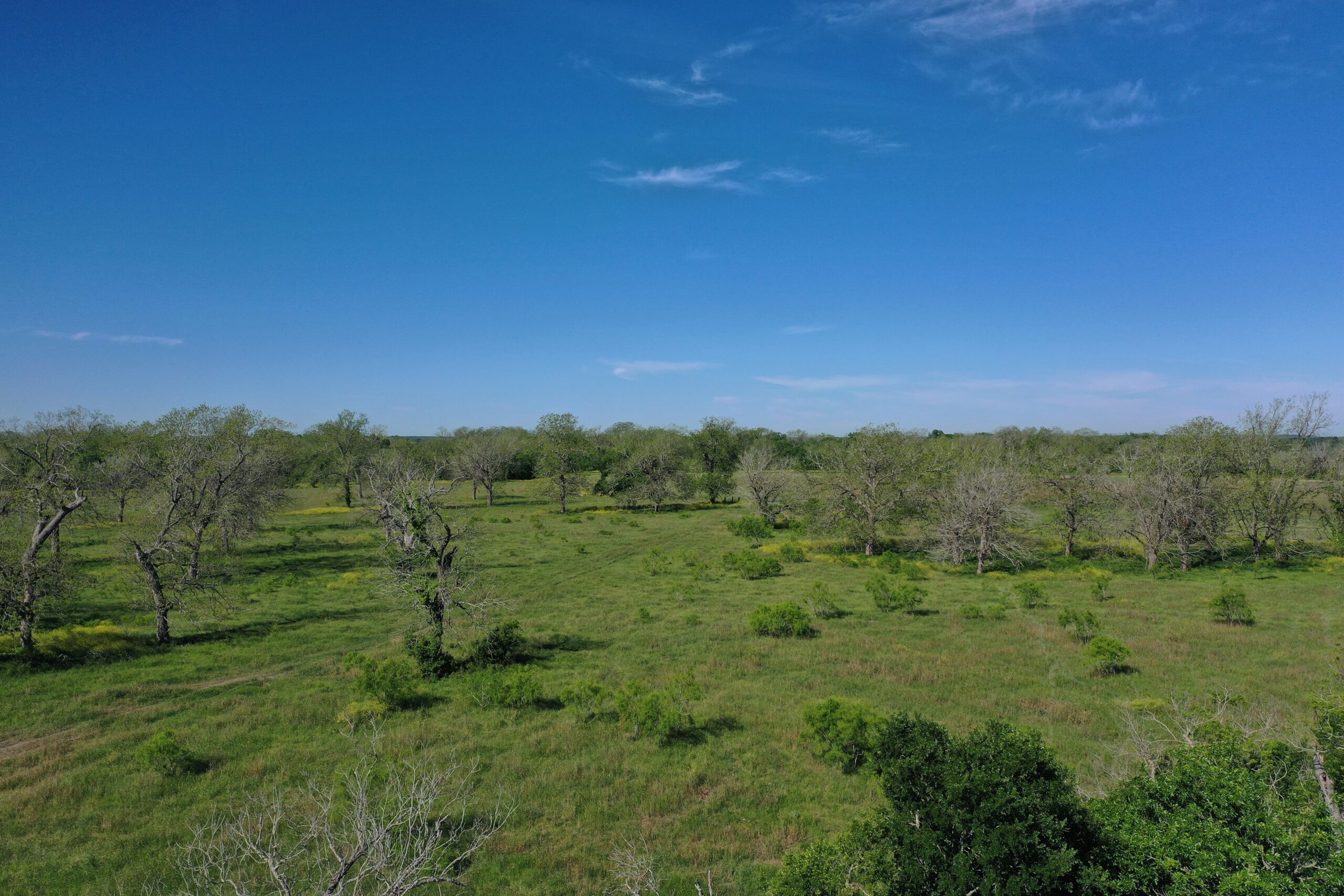 179 Acres Tree Top River Ranch | Hill Country Ranch for Sale | Dullnig ...