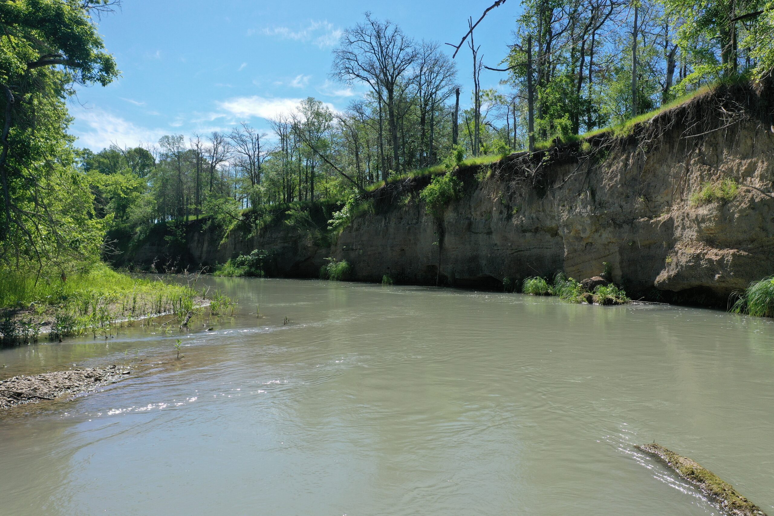 179 Acres Tree Top River Ranch | Hill Country Ranch for Sale | Dullnig ...