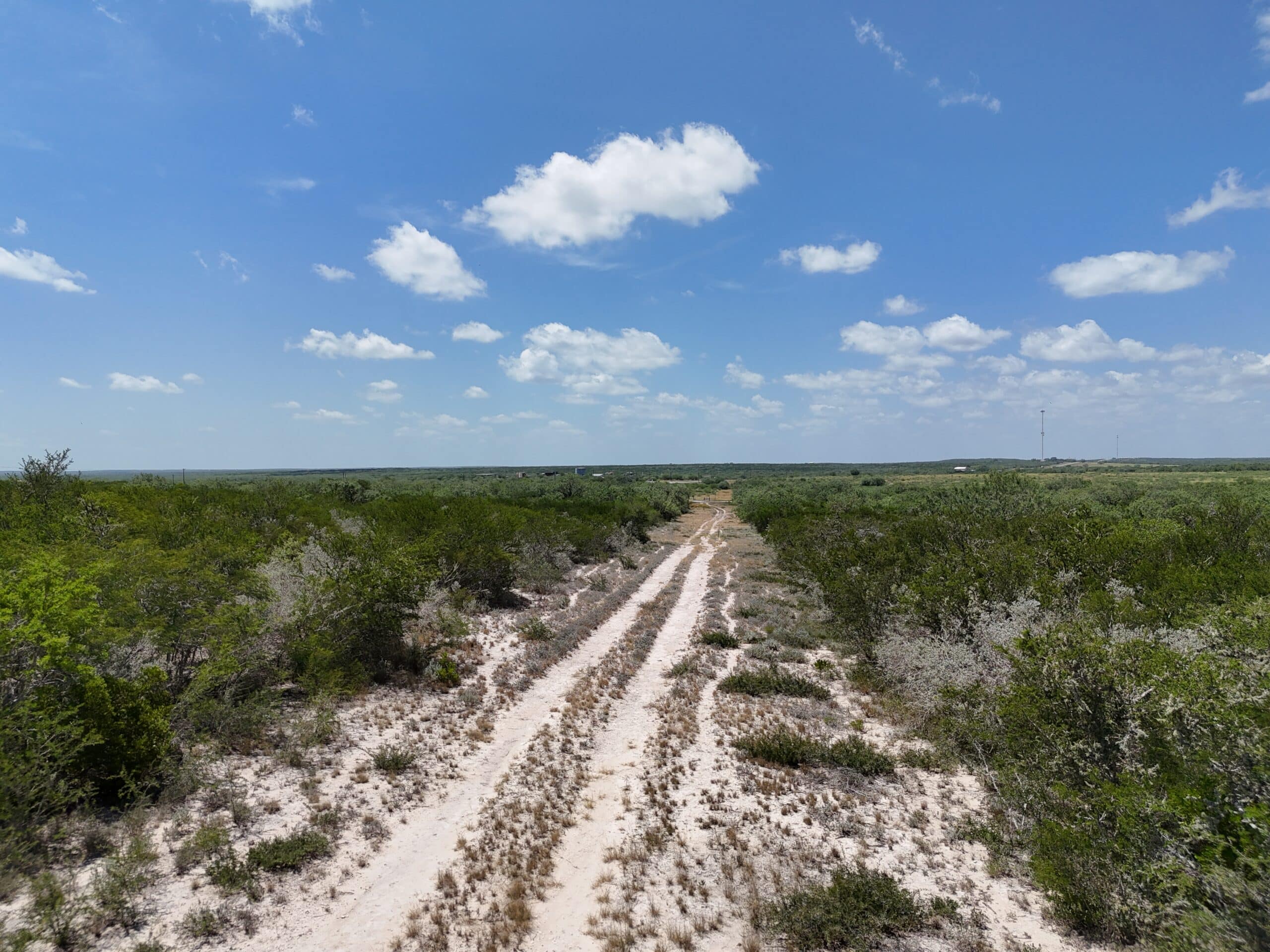 260 Acres Salt Branch Ranch | South Texas Ranch for Sale | Dullnig Ranches