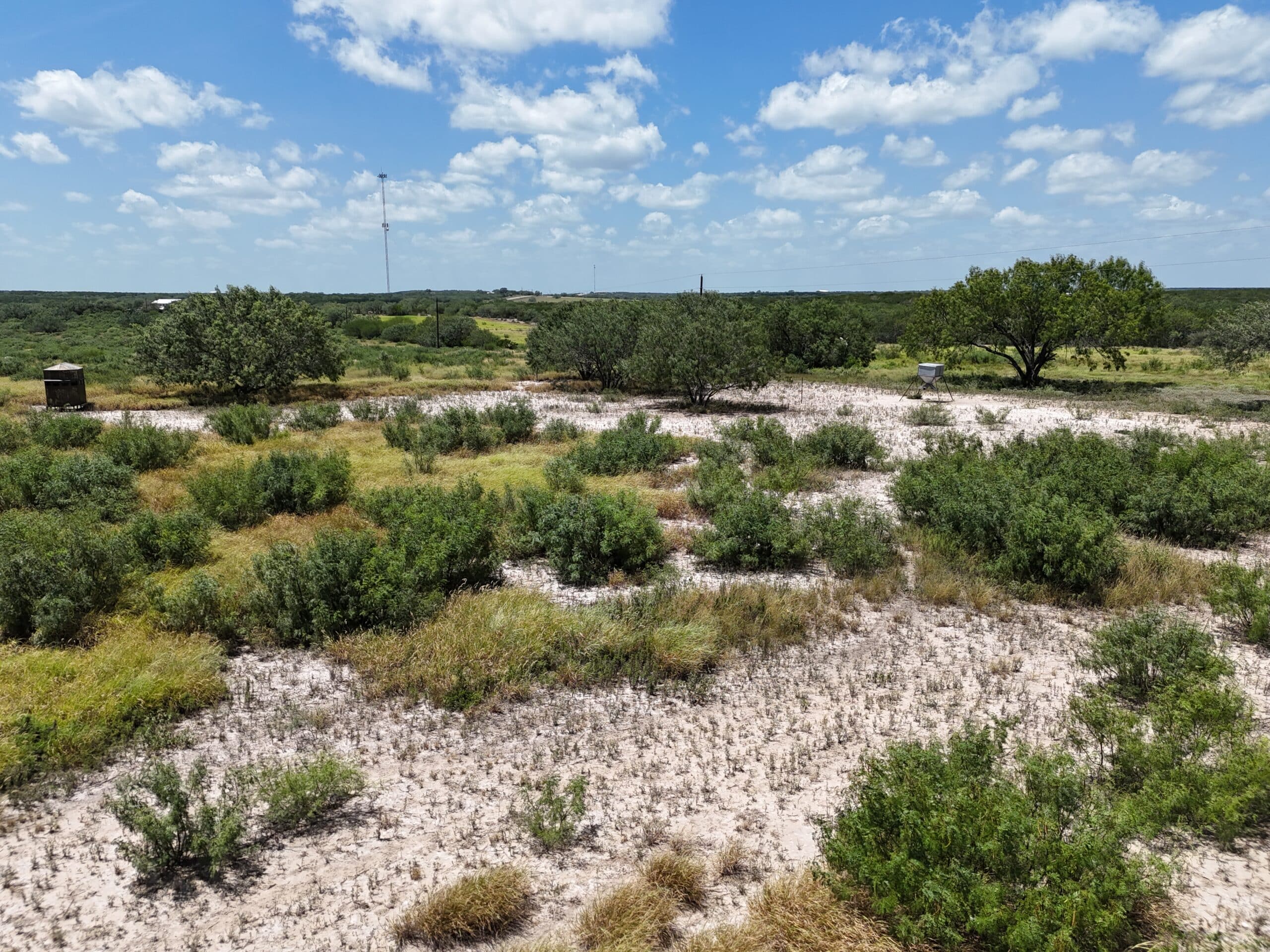 260 Acres Salt Branch Ranch | South Texas Ranch for Sale | Dullnig Ranches