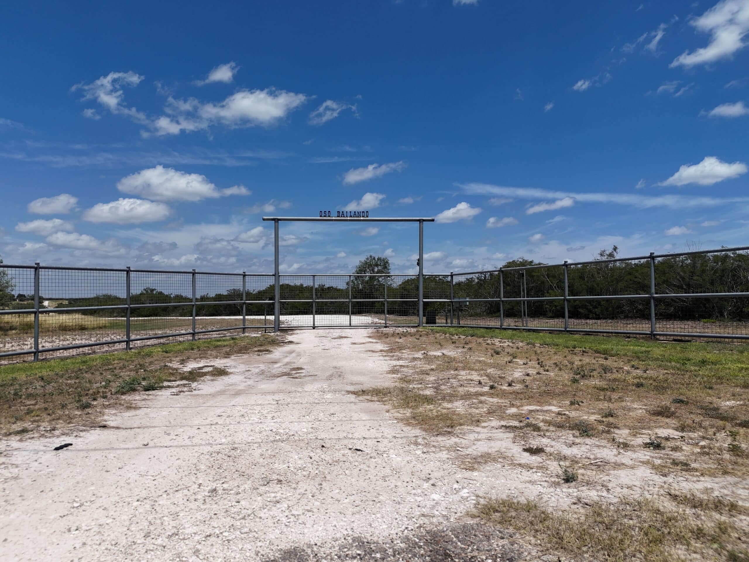 260 Acres Salt Branch Ranch | South Texas Ranch for Sale | Dullnig Ranches
