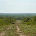 4_salt-branch-ranch-live-oak001