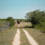 6_salt-branch-ranch-live-oak003