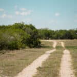 7_salt-branch-ranch-live-oak004