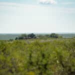 8_salt-branch-ranch-live-oak005