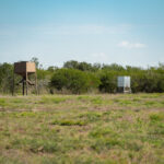 11_salt-branch-ranch-live-oak008