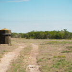 12_salt-branch-ranch-live-oak009