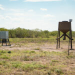 14_salt-branch-ranch-live-oak011