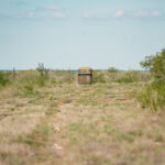 16_salt-branch-ranch-live-oak013