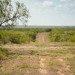 17_salt-branch-ranch-live-oak014