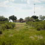 18_salt-branch-ranch-live-oak015