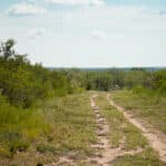 19_salt-branch-ranch-live-oak016