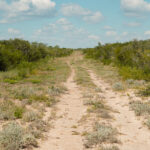 21_salt-branch-ranch-live-oak018