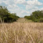 22_salt-branch-ranch-live-oak019