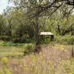 24_salt-branch-ranch-live-oak021